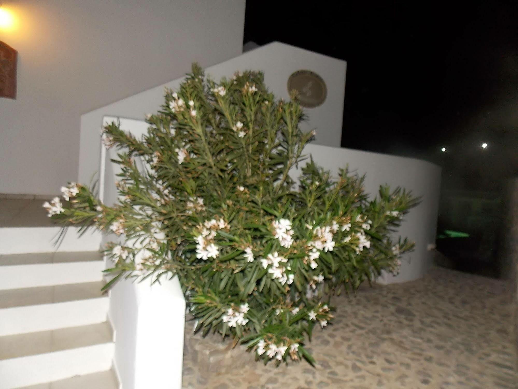 Lavarock Santorini Perissa  Luaran gambar
